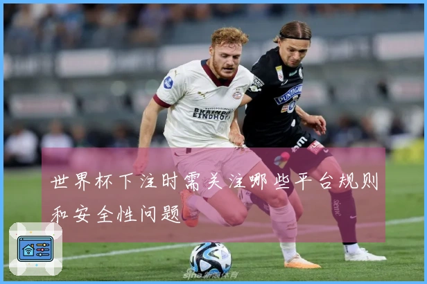 世界杯下注时需关注哪些平台规则和安全性问题