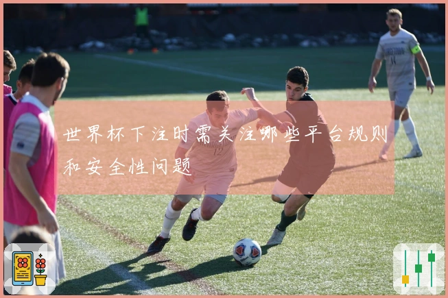 世界杯下注时需关注哪些平台规则和安全性问题
