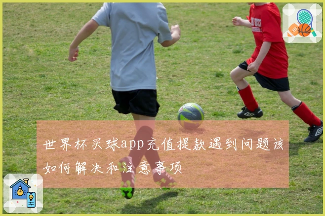 世界杯买球app充值提款遇到问题该如何解决和注意事项