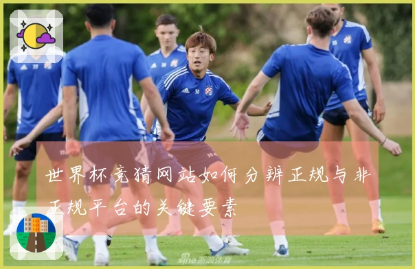 世界杯竞猜网站如何分辨正规与非正规平台的关键要素