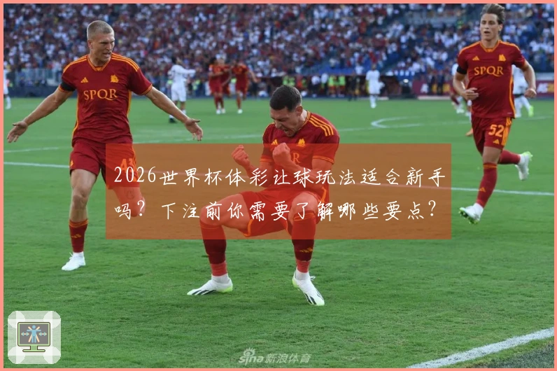 2026世界杯体彩让球玩法适合新手吗？下注前你需要了解哪些要点？