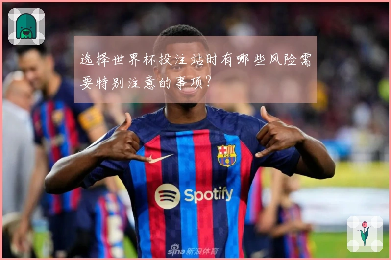 选择世界杯投注站时有哪些风险需要特别注意的事项？
