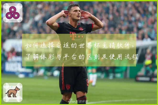 如何选择合适的世界杯竞猜软件，了解体彩与平台的区别及使用流程