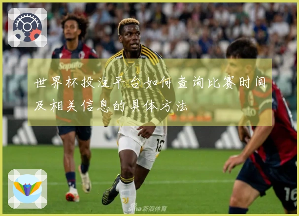 世界杯投注平台如何查询比赛时间及相关信息的具体方法