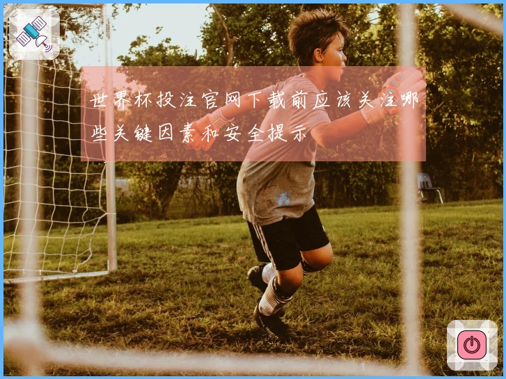 世界杯投注官网下载前应该关注哪些关键因素和安全提示