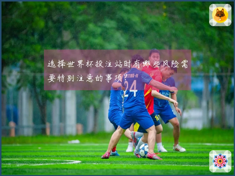 选择世界杯投注站时有哪些风险需要特别注意的事项？