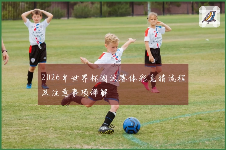 2026年世界杯淘汰赛体彩竞猜流程及注意事项详解