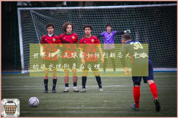 世界杯买足球前如何判断各大平台的返水规则是否合理