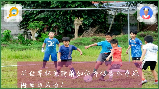 买世界杯竞猜前如何评估各队夺冠概率与风险？