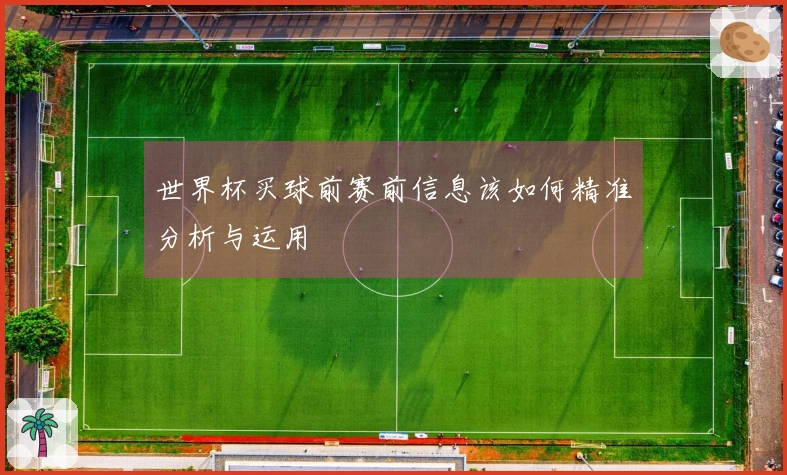 世界杯买球前赛前信息该如何精准分析与运用