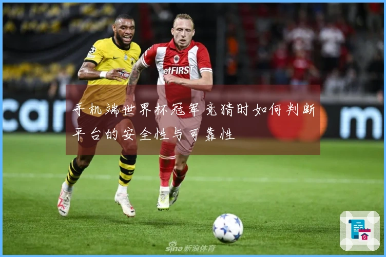 手机端世界杯冠军竞猜时如何判断平台的安全性与可靠性