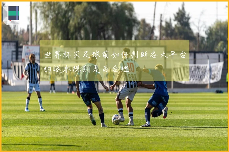 世界杯买足球前如何判断各大平台的返水规则是否合理