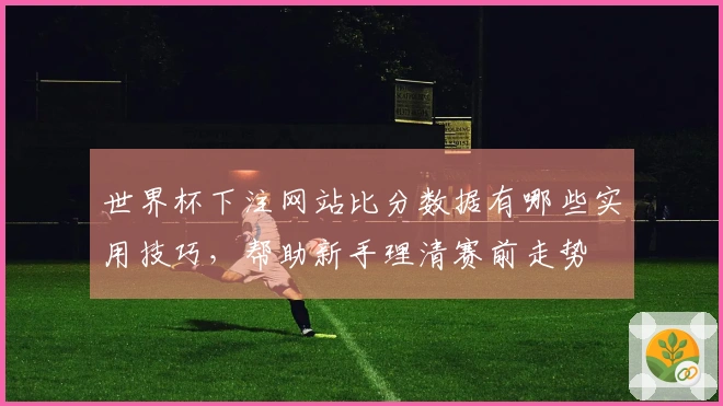 世界杯下注网站比分数据有哪些实用技巧，帮助新手理清赛前走势