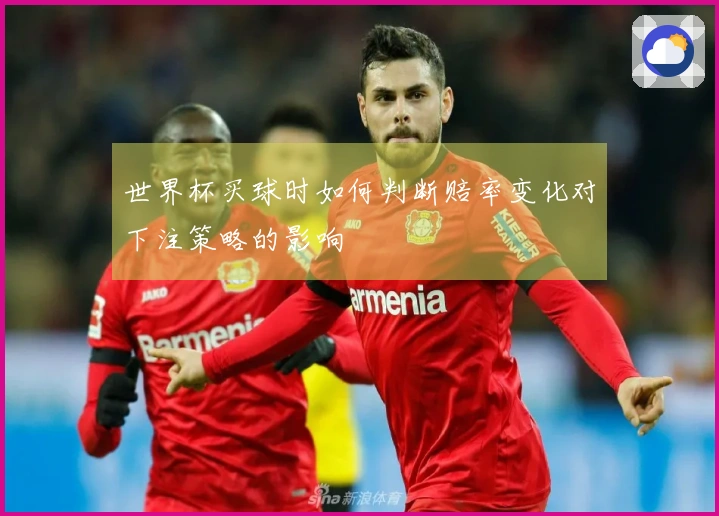 世界杯买球时如何判断赔率变化对下注策略的影响