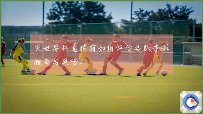 买世界杯竞猜前如何评估各队夺冠概率与风险？