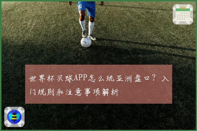 世界杯买球APP怎么玩亚洲盘口？入门规则和注意事项解析