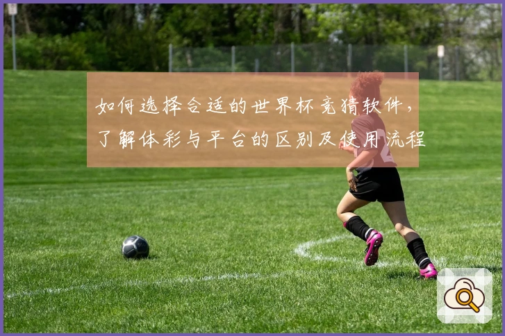 如何选择合适的世界杯竞猜软件，了解体彩与平台的区别及使用流程