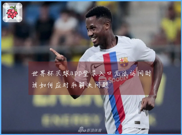 世界杯买球app登录入口无法访问时该如何应对和解决问题