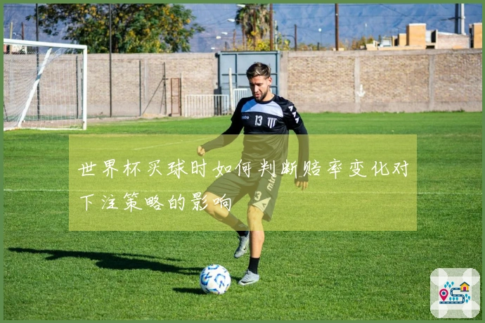世界杯买球时如何判断赔率变化对下注策略的影响