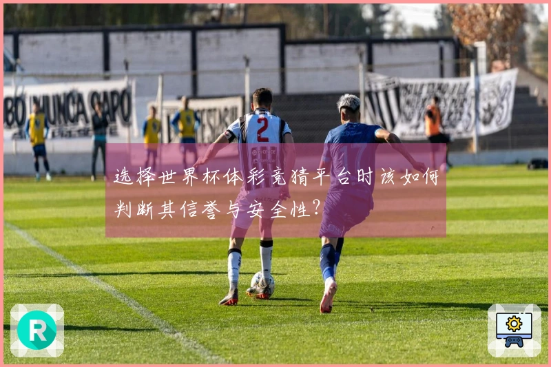 选择世界杯体彩竞猜平台时该如何判断其信誉与安全性？