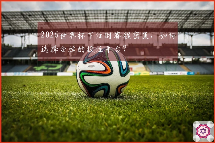 2026世界杯下注时赛程密集，如何选择合适的投注平台？
