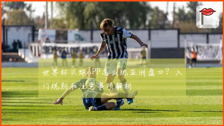 世界杯买球APP怎么玩亚洲盘口？入门规则和注意事项解析