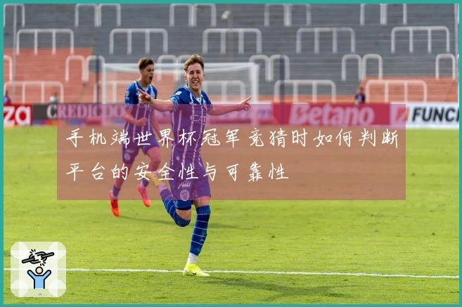 手机端世界杯冠军竞猜时如何判断平台的安全性与可靠性