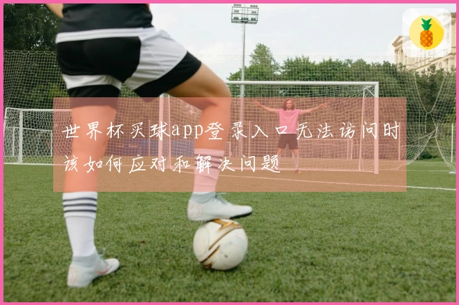 世界杯买球app登录入口无法访问时该如何应对和解决问题