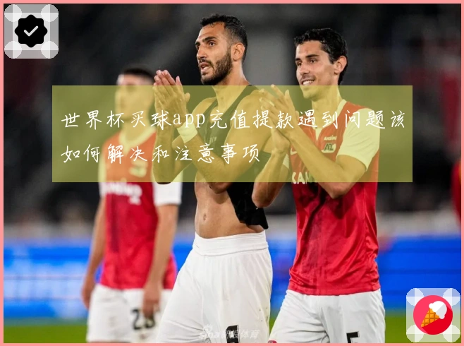 世界杯买球app充值提款遇到问题该如何解决和注意事项